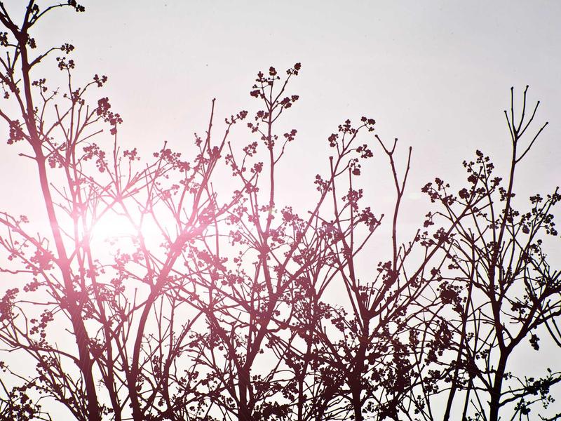 sudoku family sharing screenshot 5